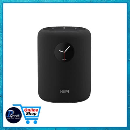 ลำโพงบลูทูธไร้สาย WIIM : SOUND (BLACK)_1